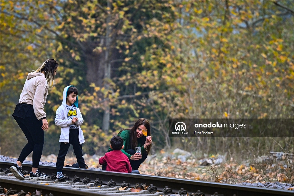 Adana'daki Belemedik Tabiat Parkı sonbahar renklerine büründü