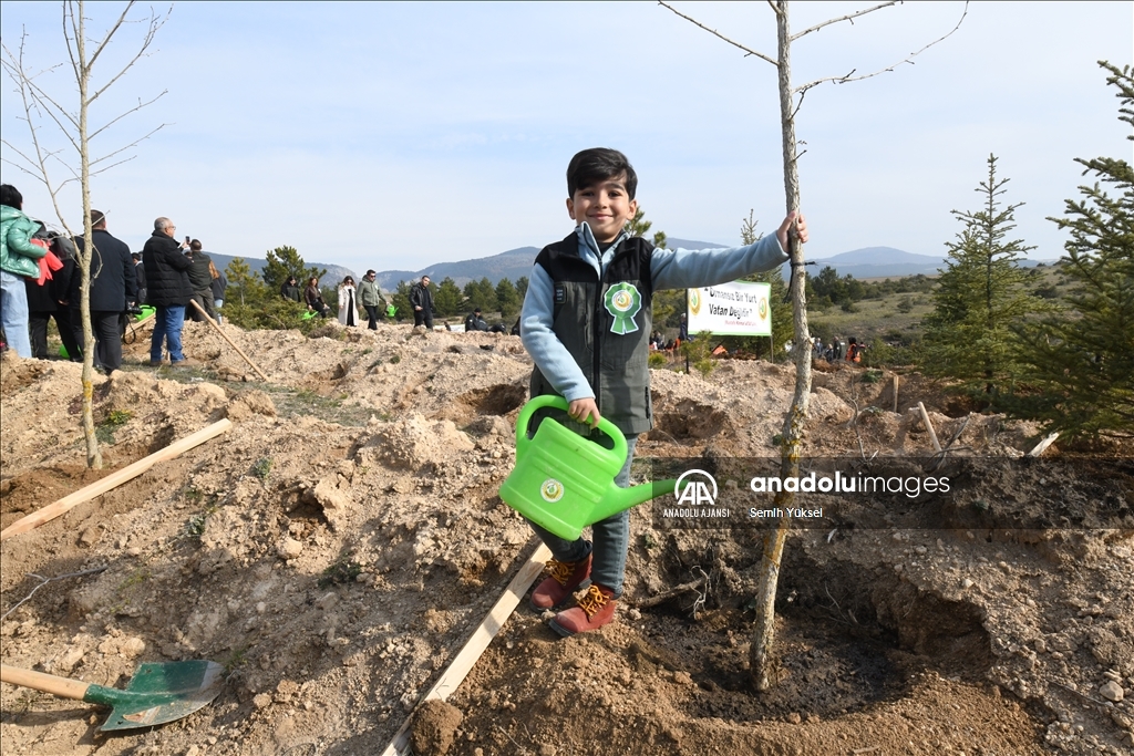 Kastamonu'da Milli Ağaçlandırma Günü'nde fidanlar toprakla buluştu