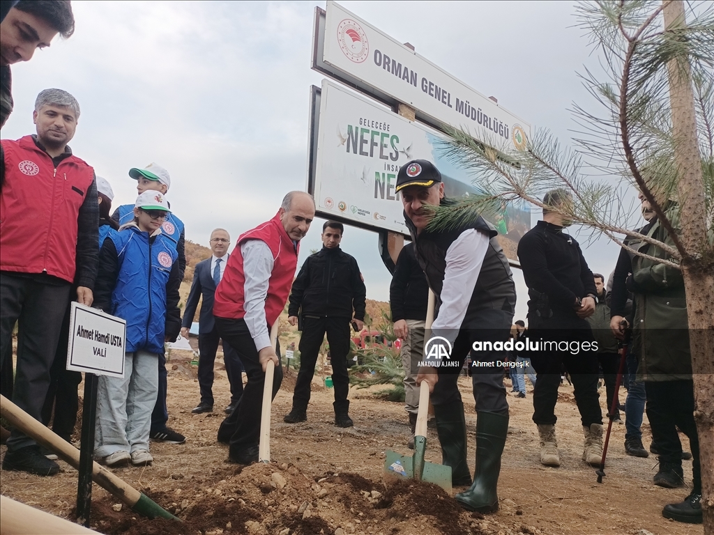Bingöl'de fidanlar toprakla buluşturuldu