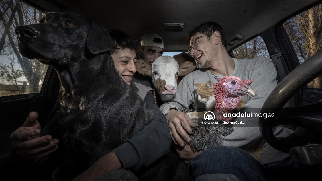Kütahyalı kuzenler, çiftliklerindeki hayvanlarla olan bağlarıyla görenlerin içini ısıtıyor