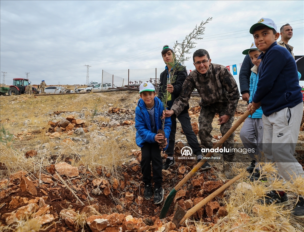Adıyaman'da ''Milli Ağaçlandırma Günü'' etkinliği yapıldı