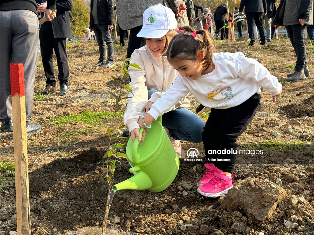 Bartın'da "Milli Ağaçlandırma Günü" dolayısıyla fidan dikimi yapıldı