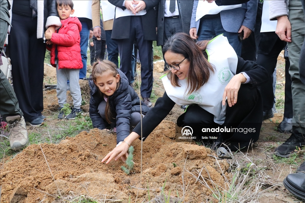 Yalova'da fidanlar toprakla buluşturuldu
