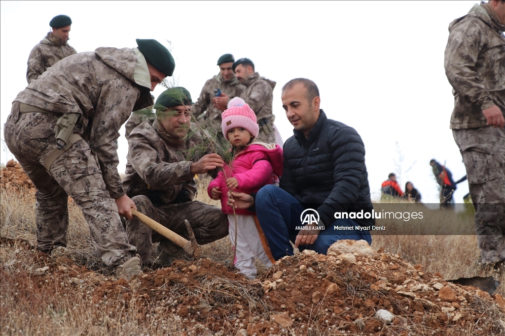 Siirt'te ''Milli Ağaçlandırma Günü'' etkinliği yapıldı