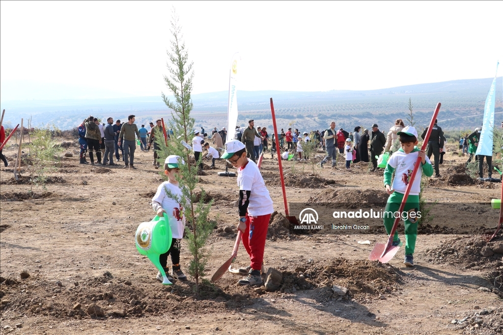 Kilis'te fidanlar toprakla buluştu