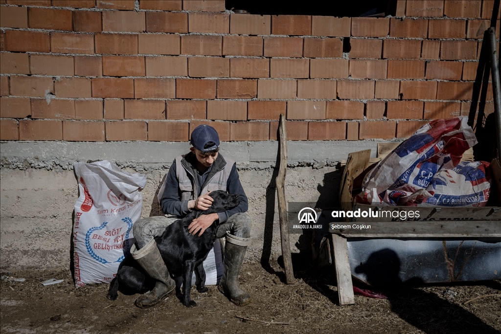 Kütahyalı kuzenler, çiftliklerindeki hayvanlarla olan bağlarıyla görenlerin içini ısıtıyor