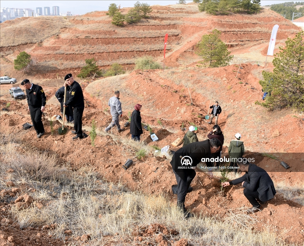 İç Anadolu'da Milli Ağaçlandırma Günü'nde binlerce fidan toprakla buluşturuldu