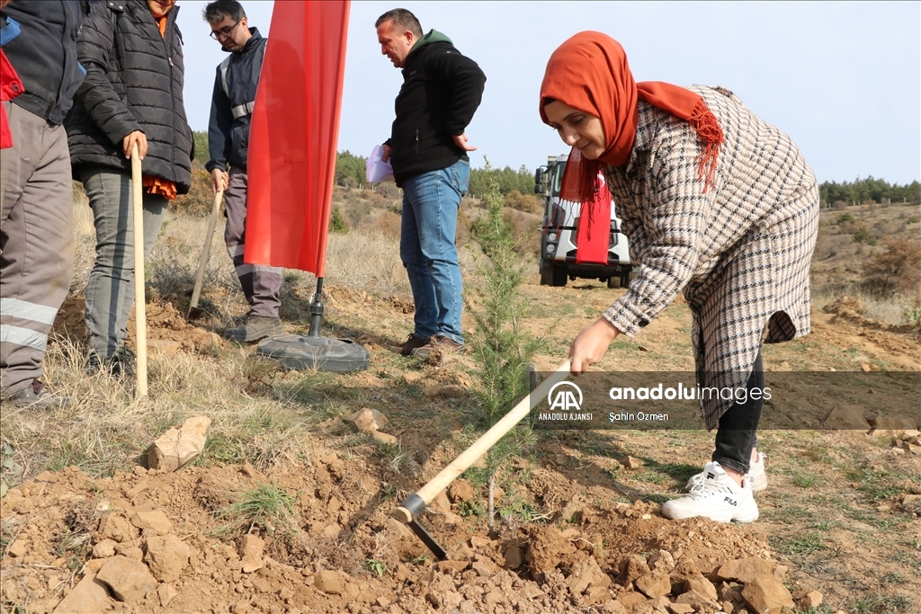 Yozgat'ta Milli Ağaçlandırma Günü'nde binlerce fidan toprakla buluşturuldu