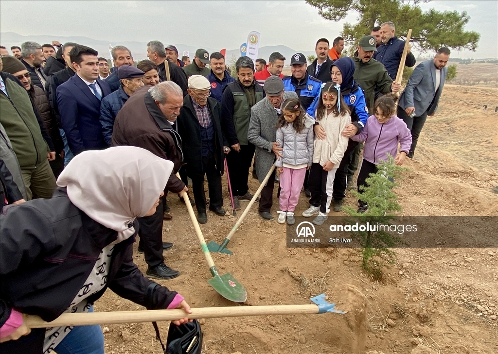 Kırşehir'de Milli Ağaçlandırma Günü'nde binlerce fidan toprakla buluşturuldu