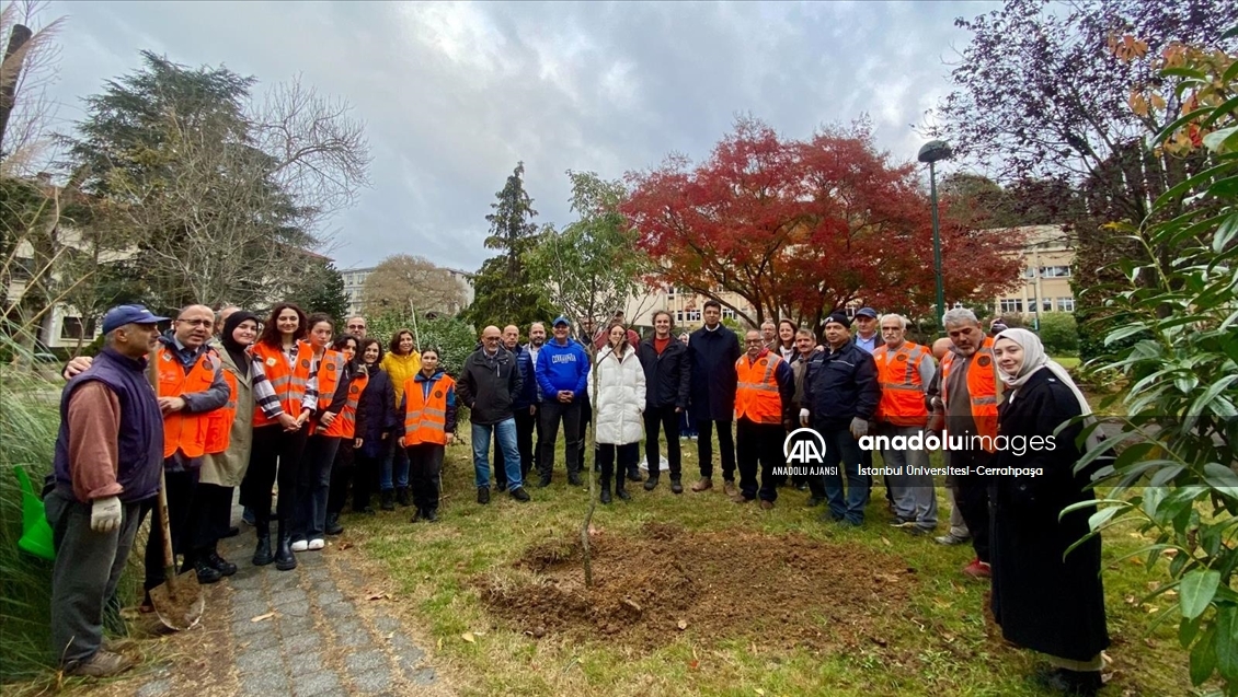 Milli Ağaçlandırma Günü'nde 1071 fidan dikildi