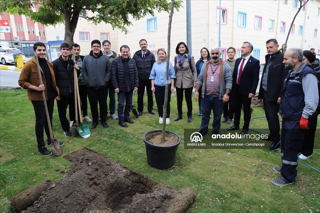 Milli Ağaçlandırma Günü'nde 1071 fidan dikildi