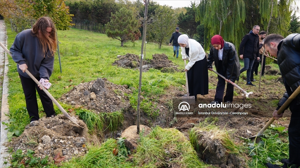 Milli Ağaçlandırma Günü'nde 1071 fidan dikildi