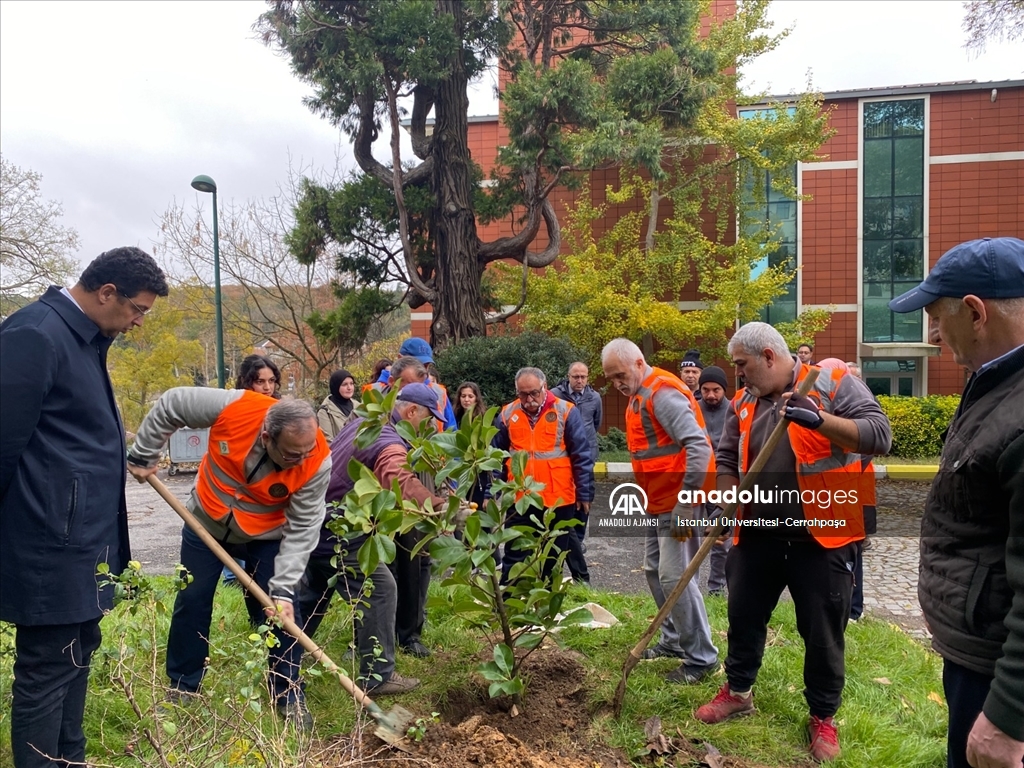 Milli Ağaçlandırma Günü'nde 1071 fidan dikildi