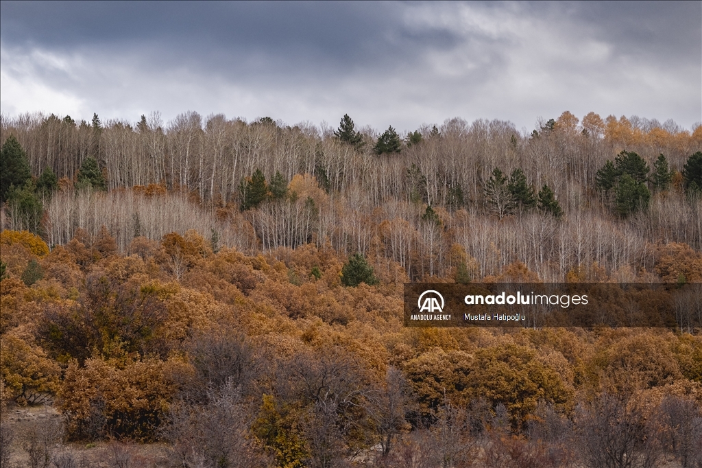 Autumn in Turkish capital