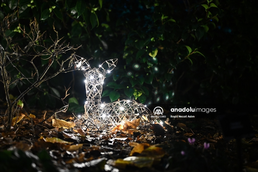 Kew Gardens'da Noel hazırlıkları başladı