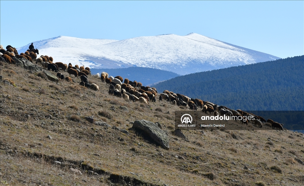 Kars’ta soğuk hava