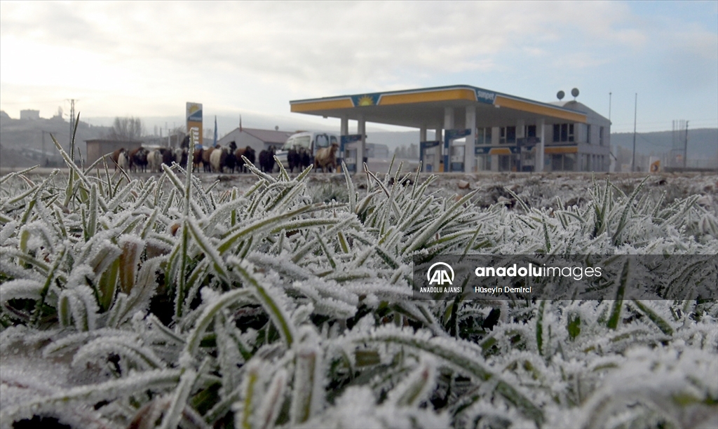 Kars’ta soğuk hava