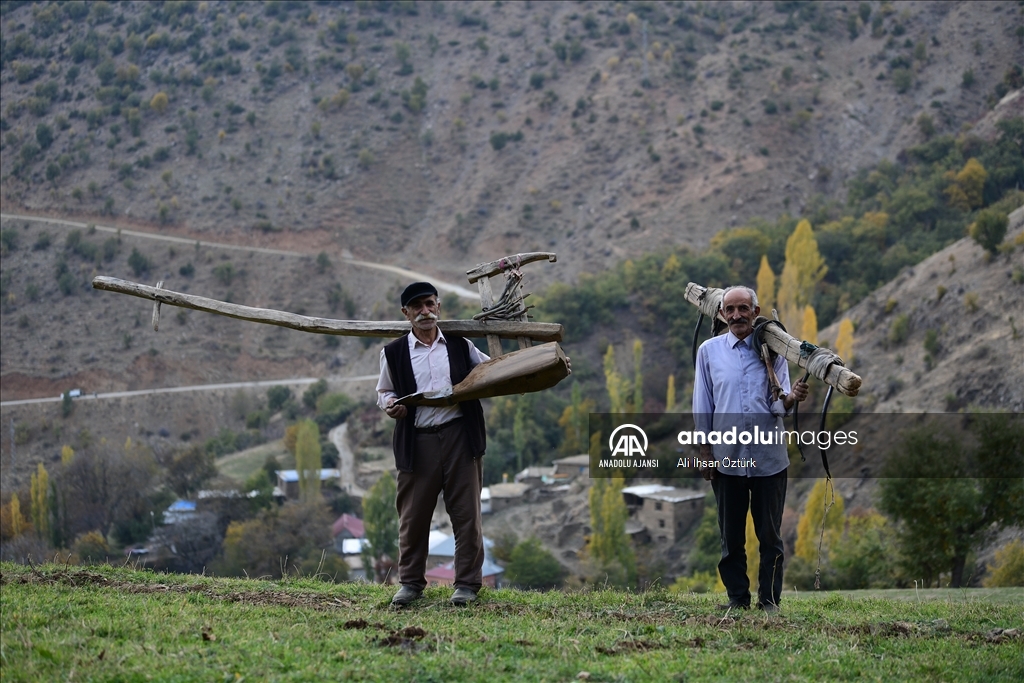 Sarp tarım arazilerinde kullanılan geleneksel yöntem: karasaban