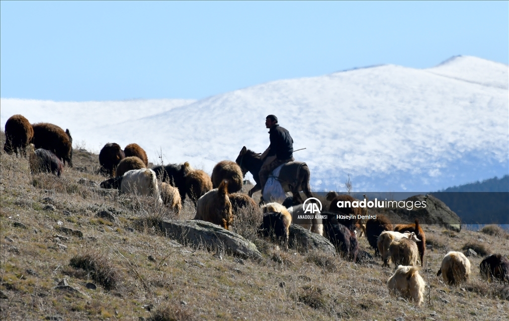 Kars’ta soğuk hava