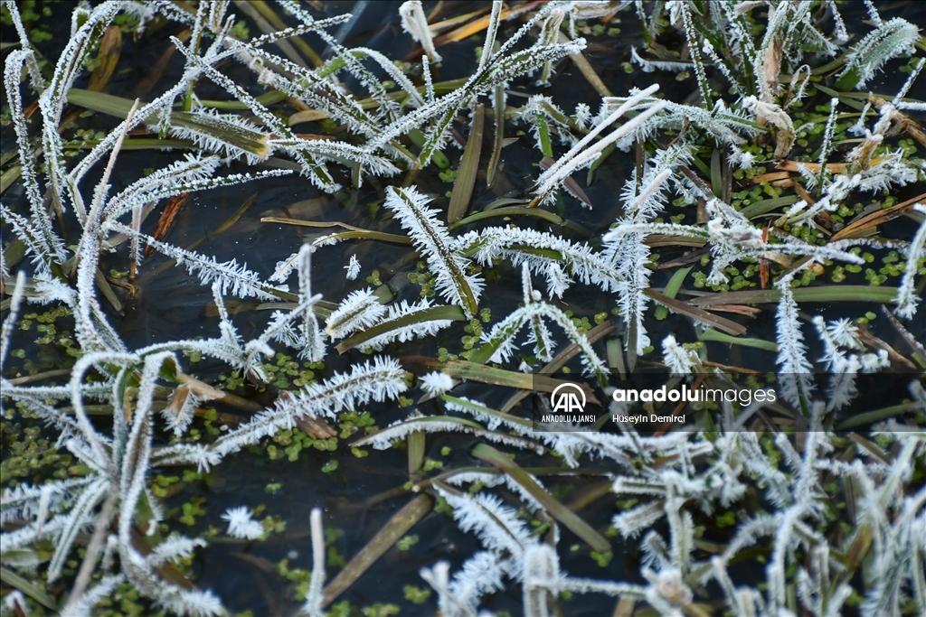 Kars’ta soğuk hava