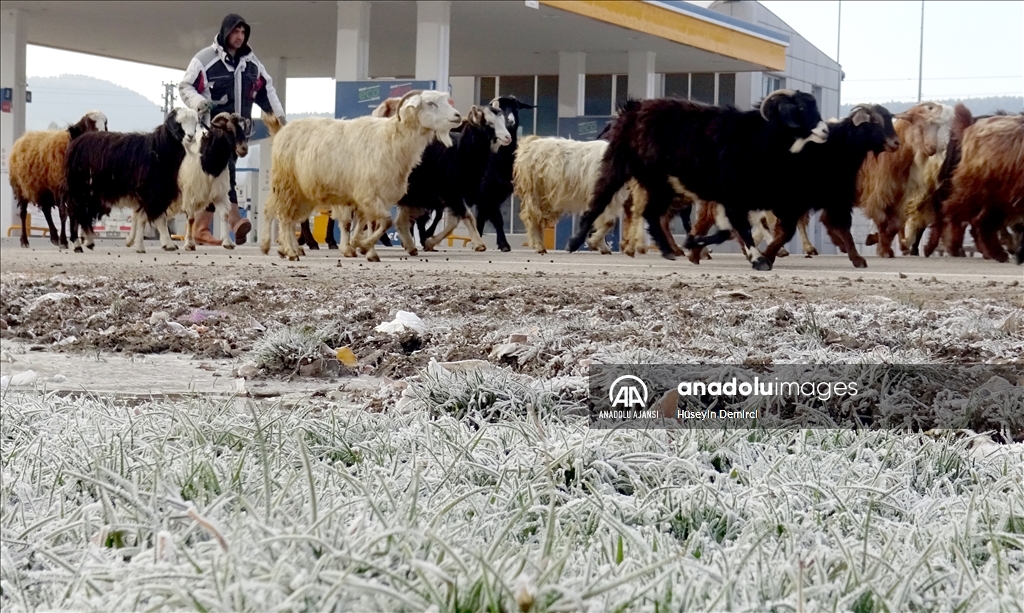 Kars’ta soğuk hava