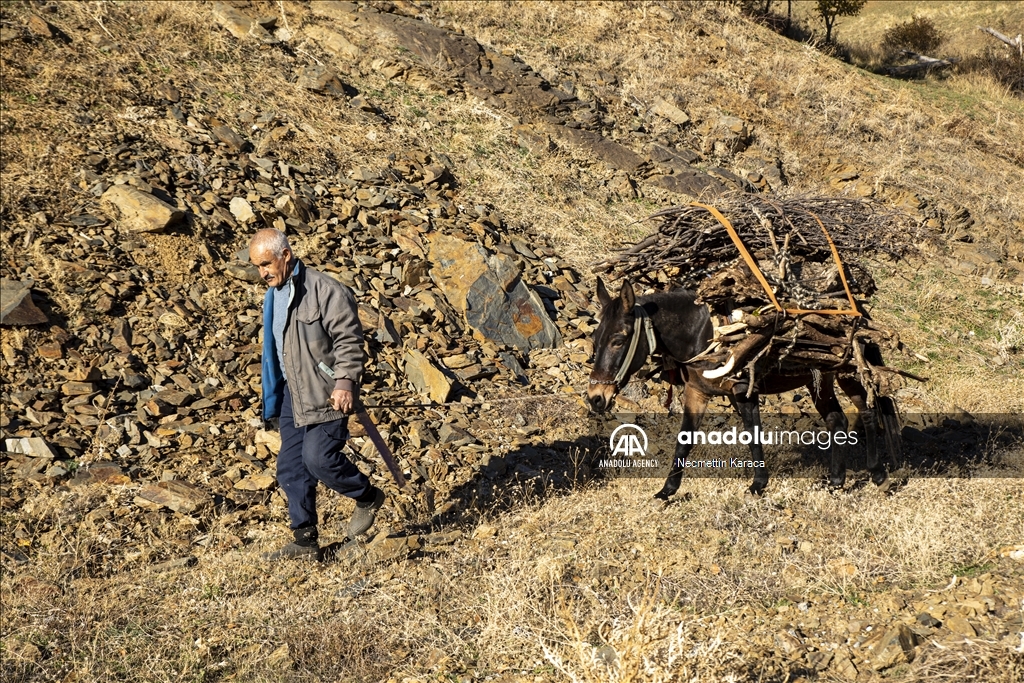Gundên Bidlîsê yên ku bi rengê payîzê xemilîne mazuvaniya wênekêşan kir