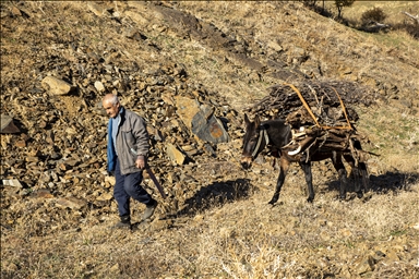 Gundên Bidlîsê yên ku bi rengê payîzê xemilîne mazuvaniya wênekêşan kir