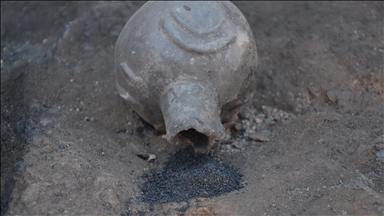 Seyitömer Höyüğü'nde Tunç Çağı'ndan kalma haşhaş ve nohut taneleri bulundu