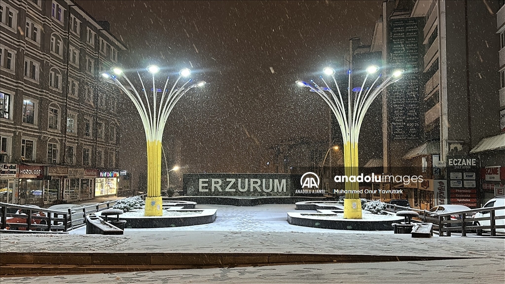 Erzurum'da kar etkili oldu