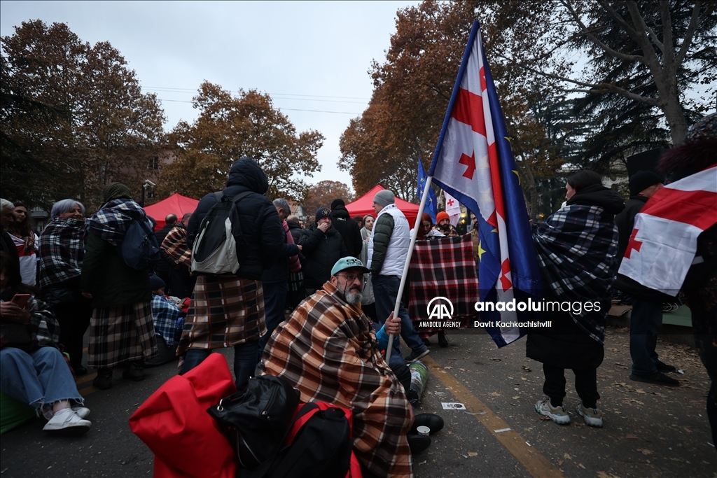 Demonstration against election results in Georgia