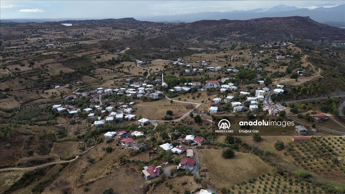 Manavgat'ta yanan alanlar yeniden sonbahar renklerine büründü