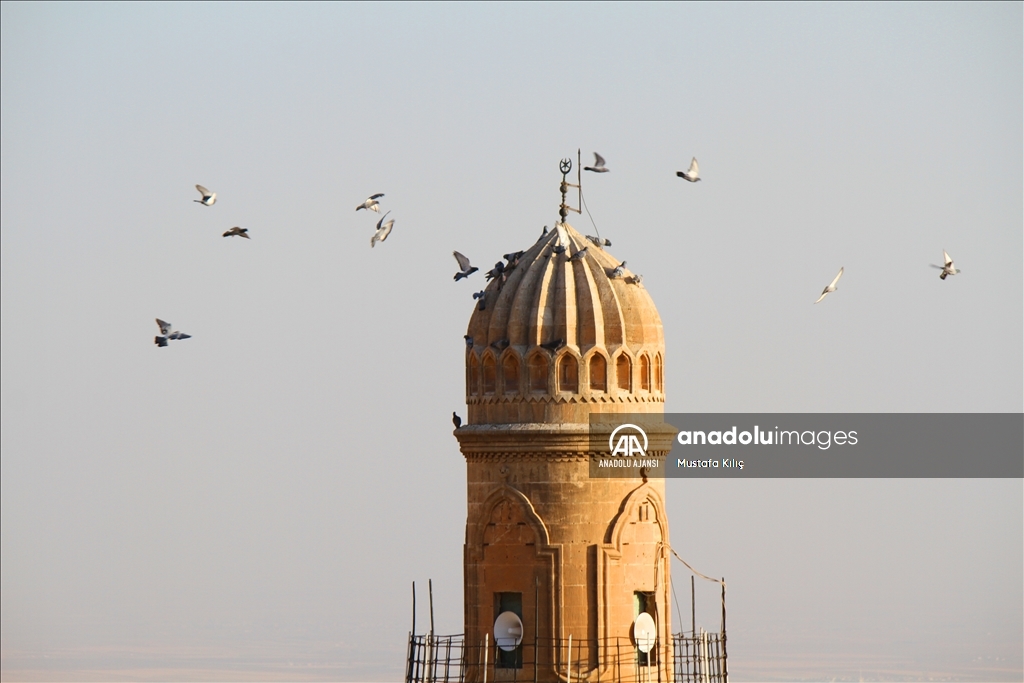 Mardin semalarında kanat çırpan hazine