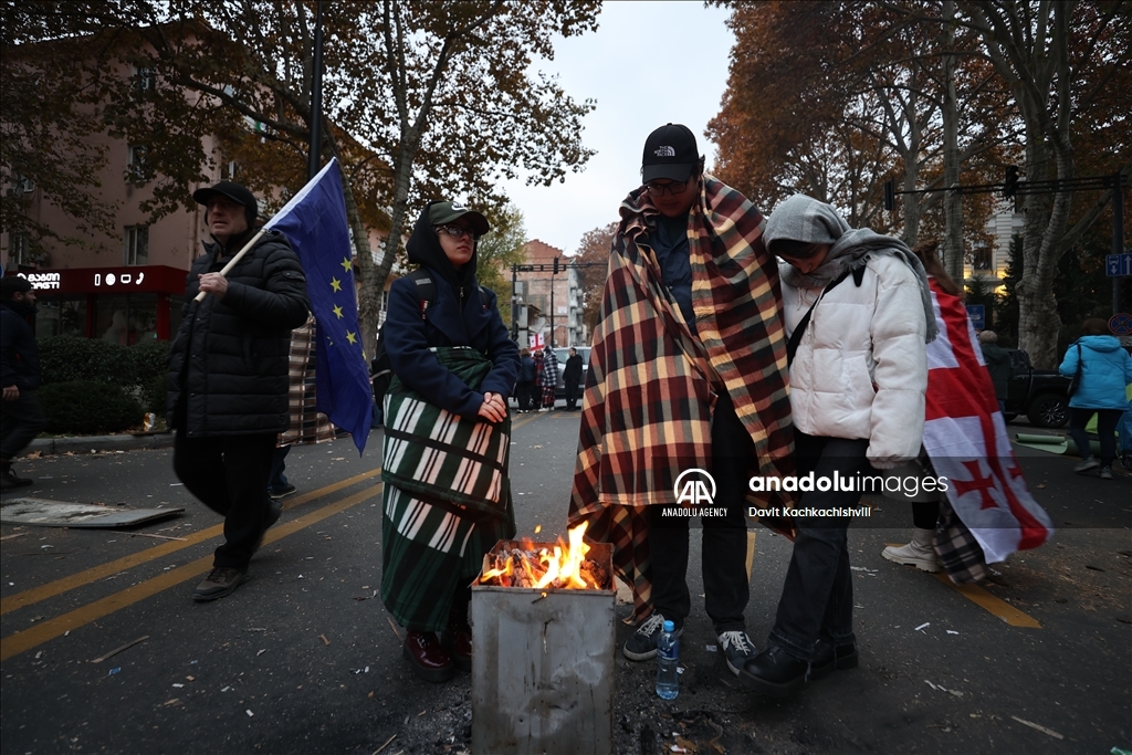 Demonstration against election results in Georgia