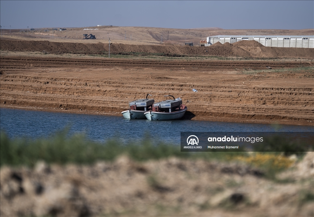 Duhok'taki Irak'ın en büyük balık tesisinde yıllık 1000 ton balık eti üretiliyor