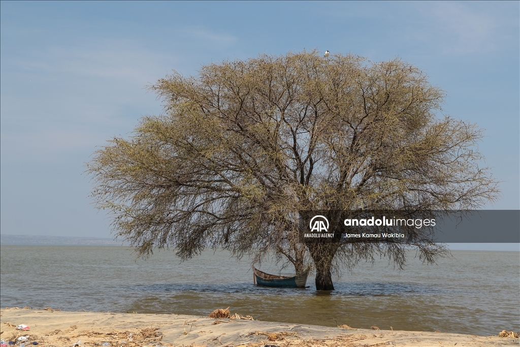 Climate change takes its toll on Turkana, the world's largest desert lake