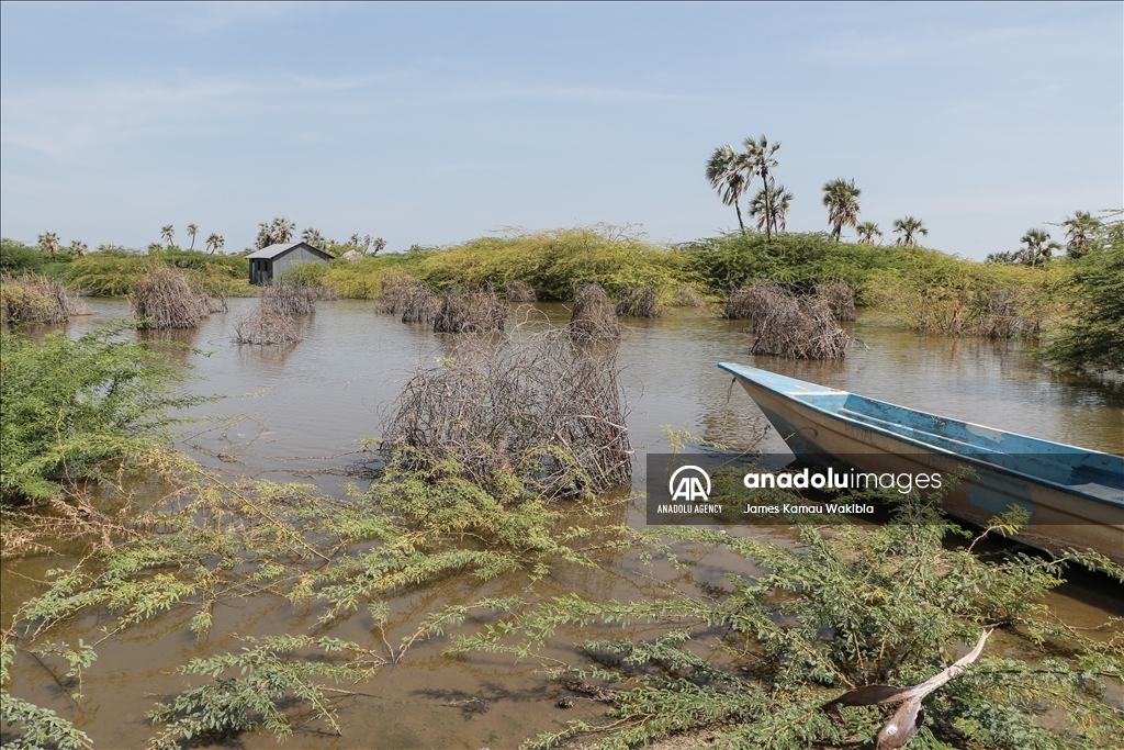 Climate change takes its toll on Turkana, the world's largest desert lake