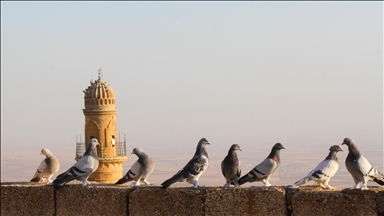 Mardin semalarında kanat çırpan hazine