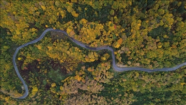 Karadeniz'de sonbahar tüm renkleriyle yaşanıyor