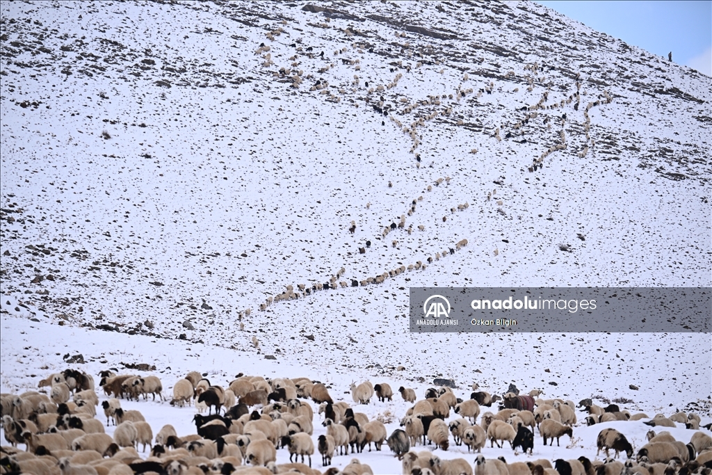 Van'da karın en çok yağdığı ilçelerde kış mesaisi başladı