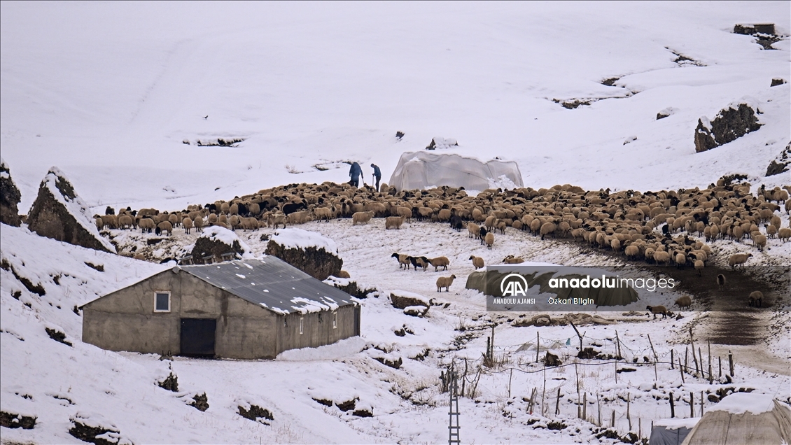 Van'da karın en çok yağdığı ilçelerde kış mesaisi başladı