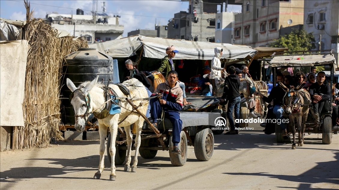 İsrail'in yakıt girişini engellediği Gazze'de halkın başlıca ulaşım aracı at ve eşek arabaları olamaya devam ediyor