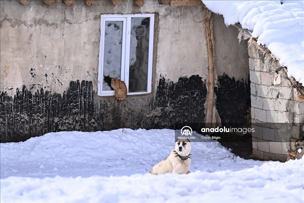 Van'da karın en çok yağdığı ilçelerde kış mesaisi başladı