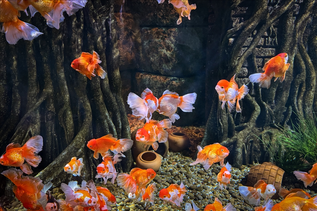 Гигантский аквариум Sea Life Bangkok Ocean World в Таиланде насчитывает более 30 тыс. представителей водного мира