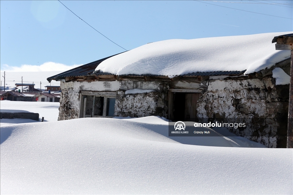 Ardahan'daki Bülbülan Yaylası'nda evler kara gömüldü
