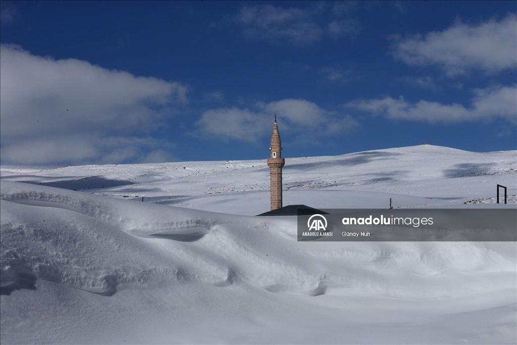 Ardahan'daki Bülbülan Yaylası'nda evler kara gömüldü