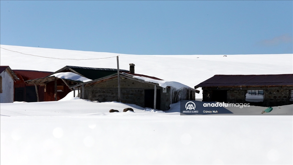 Ardahan'daki Bülbülan Yaylası'nda evler kara gömüldü