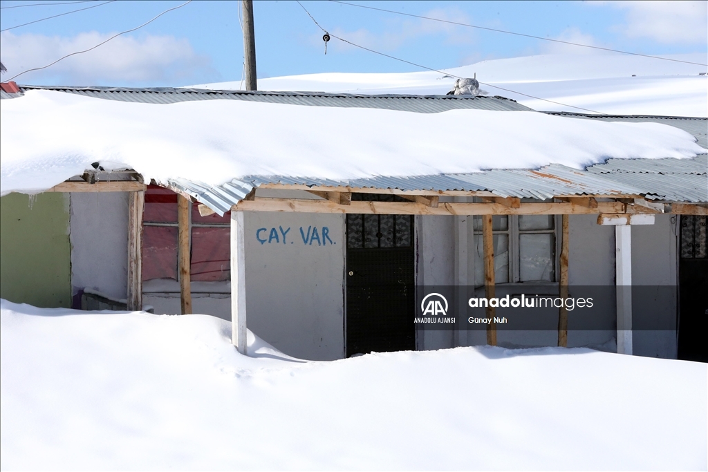 Ardahan'daki Bülbülan Yaylası'nda evler kara gömüldü