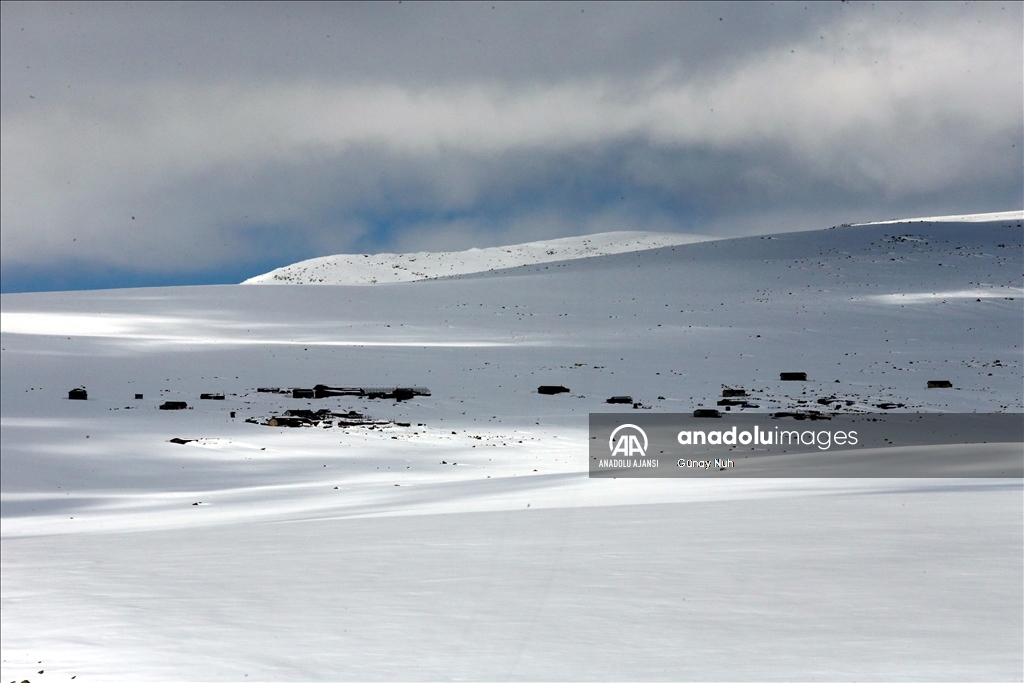 Ardahan'daki Bülbülan Yaylası'nda evler kara gömüldü