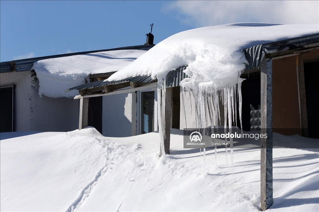 Ardahan'daki Bülbülan Yaylası'nda evler kara gömüldü