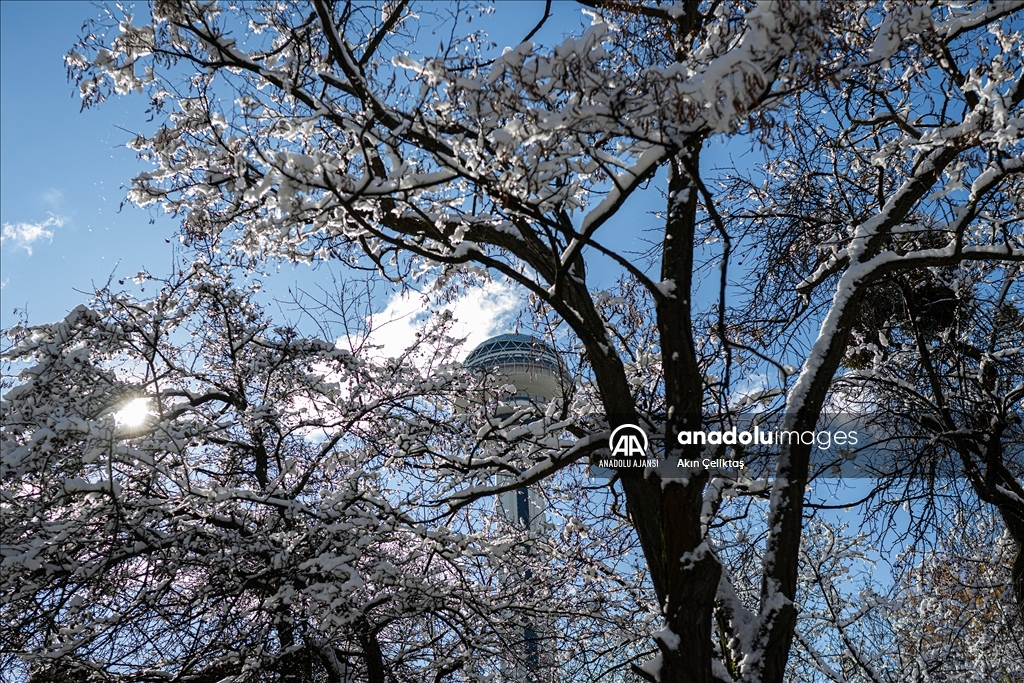 Ankara'da kar